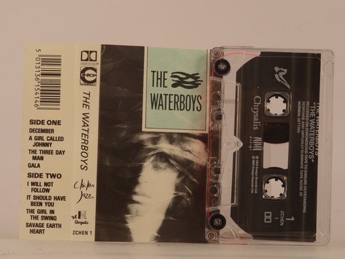 The waterboys - waterboys,